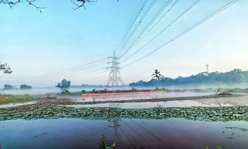 പ്രകൃതിമനോഹാരിതയിൽ ഭരണിക്കാവ് പ്രകൃതിമനോഹാരിതയിൽ ഭരണിക്കാവ്
