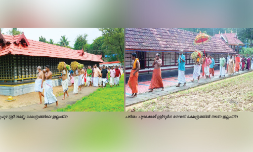 ക്ഷേ​ത്ര​ങ്ങളിൽ ഇ​ല്ലം​നി​റ ആഘോഷിച്ചു