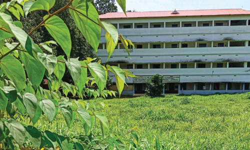 കാടുമൂടി പ​ത്തി​രി​പ്പാ​ല ഗവ കോളജ്; ഭയത്തോടെ വിദ്യാർഥികൾ