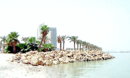 Beach Beautification