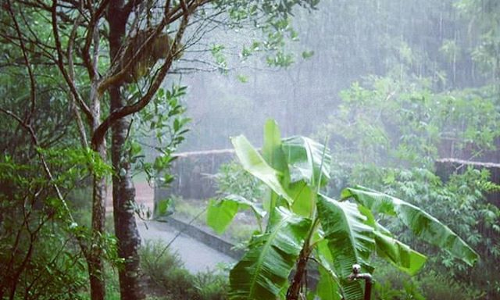 ദുരിതാശ്വാസ പ്രവര്‍ത്തനങ്ങള്‍ ഏകോപിക്കുന്നതിന് കലക്ടര്‍മാരുടെ യോഗം വിളിച്ച് റവന്യൂ മന്ത്രി