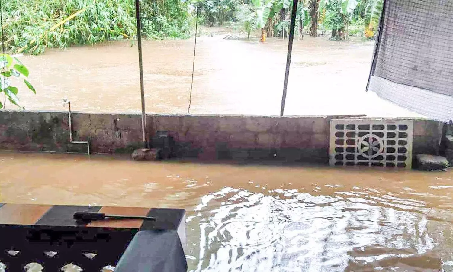 നിറഞ്ഞൊഴുകി പരപ്പാൻ തോട്​; ആധിയോടെ പ്രദേശവാസികൾ