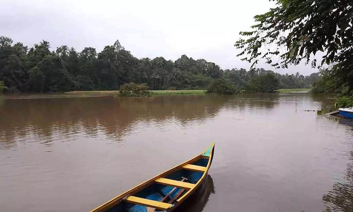 വെള്ളപ്പൊക്ക ഭീതിയില്‍ പെരുമ്പാവൂര്‍