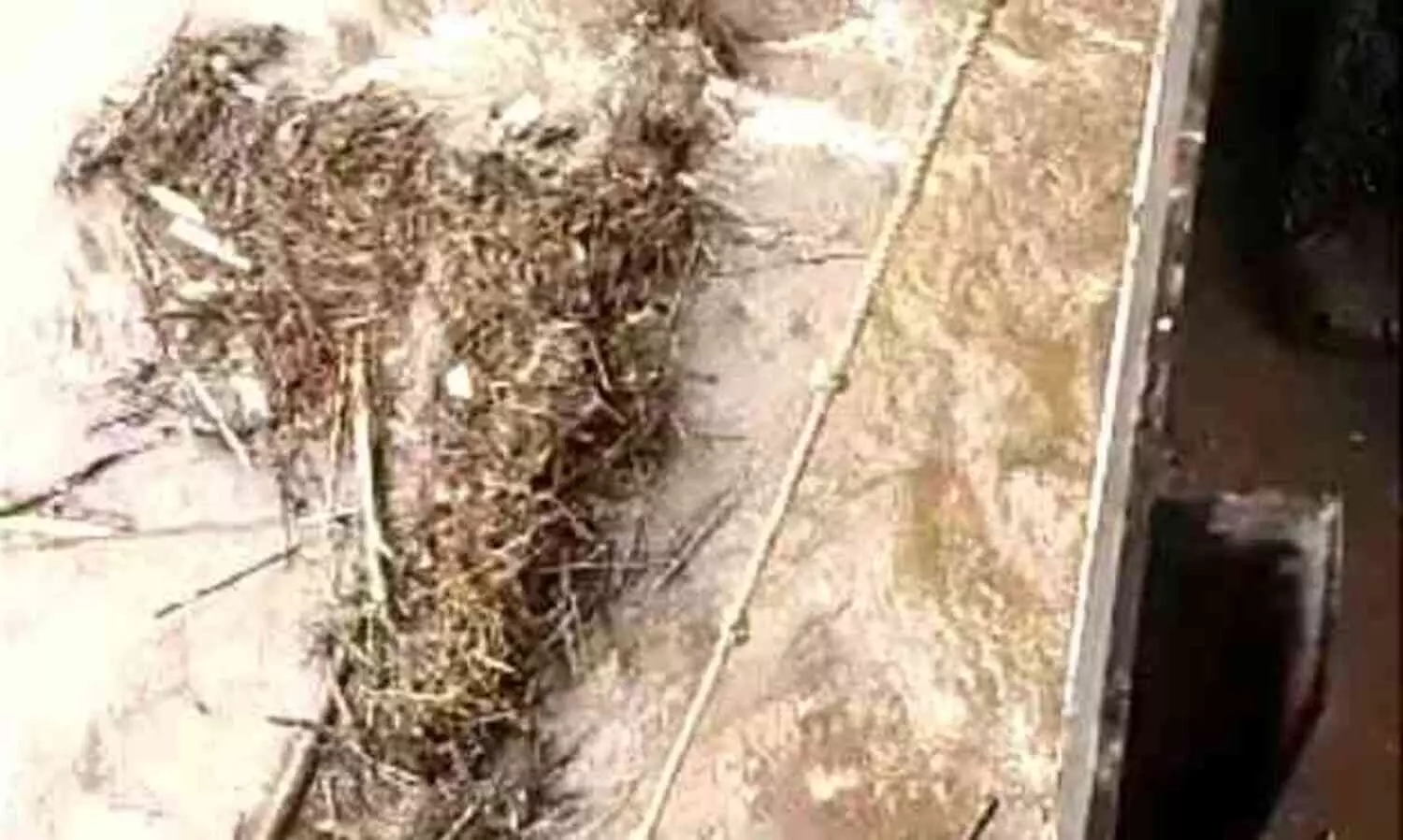 ആറ്റപ്പിള്ളി റെഗുലേറ്ററിൽ മരങ്ങൾ അടിഞ്ഞ് ഒഴുക്ക് തടസപ്പെട്ടു