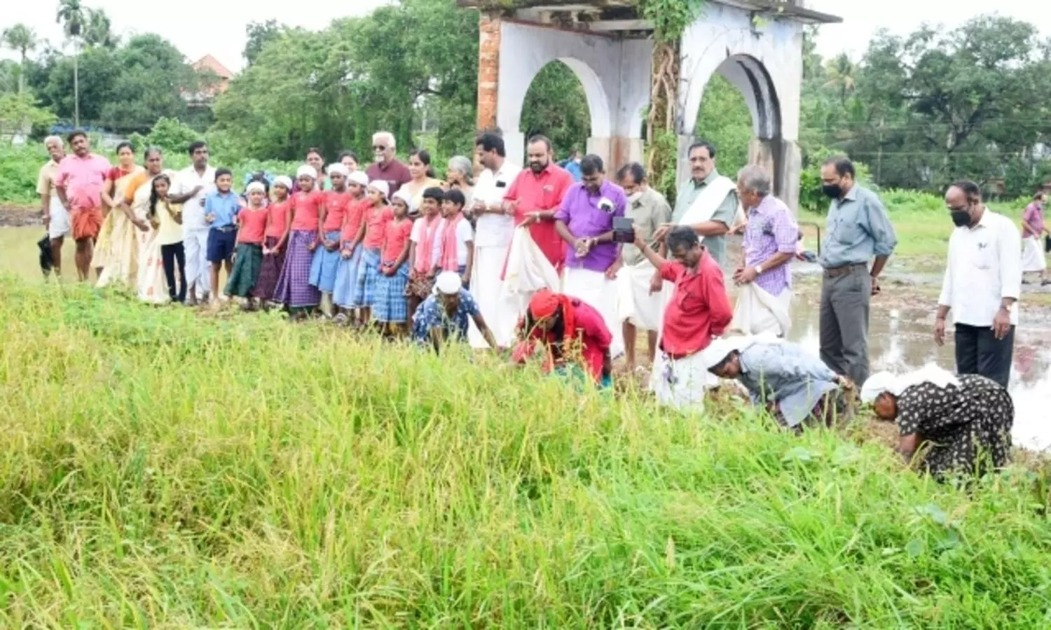 ഇല്ലം നിറക്ക്​  കൂടല്‍മാണിക്യത്തില്‍ കൊയ്​ത്തുത്സവം