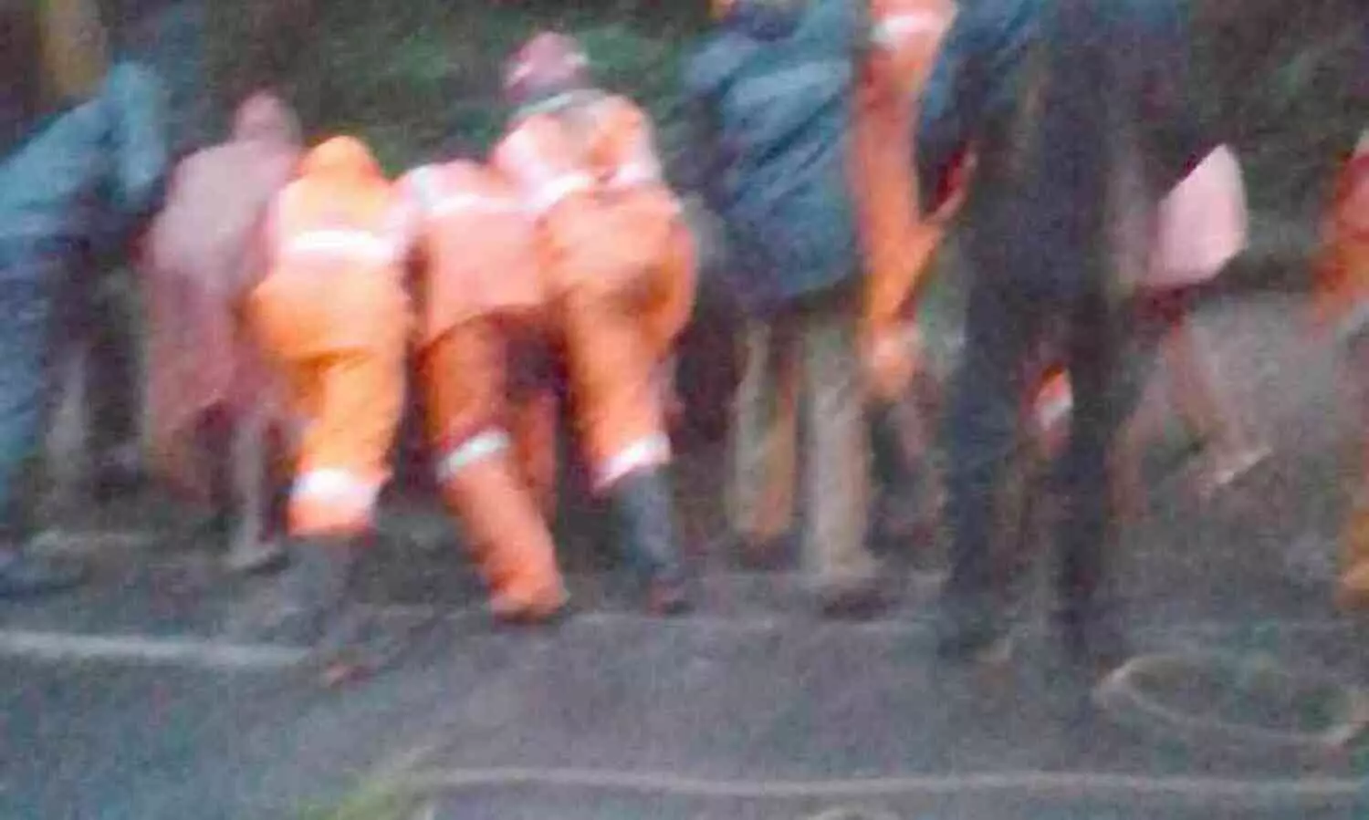 തണൽമരം  വൈദ്യുതി ലൈനിലേക്ക് വീണു