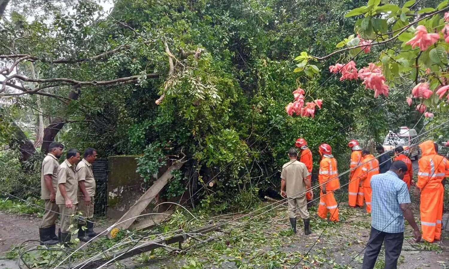 പറവൂർ താലൂക്കിൽ എട്ട് ദുരിതാശ്വാസ ക്യാമ്പ്​   കാലവർക്ഷക്കെടുതി രൂക്ഷം: പറവൂർ താലൂക്കിൽ എട്ട്  ദുരിതാശ്വാസ ക്യാമ്പുകൾ തുറന്നു