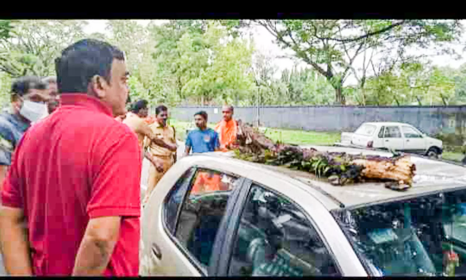 ശിഖരം ഒടിഞ്ഞുവീണ്​ കാർ തകർന്നു