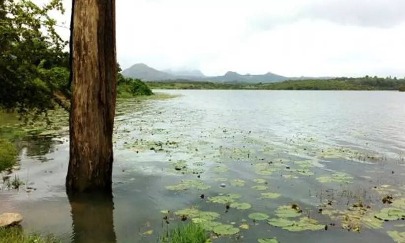 വയനാട്ടിലെ വിനോദസഞ്ചാര കേന്ദ്രങ്ങൾ അടച്ചു