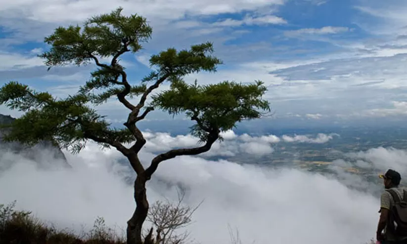 നെല്ലിയാമ്പതിയിലേക്ക് വിനോദയാത്ര നിരോധിച്ചു
