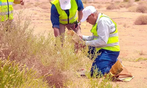 ഹരിതവത്കരണം; വിവിധ സ്ഥലങ്ങളിൽ പഠനം തുടരുന്നു