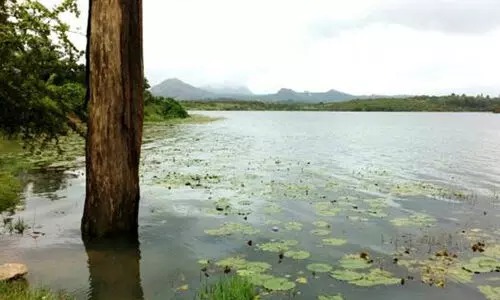 വയനാട്ടിലെ വിനോദസഞ്ചാര കേന്ദ്രങ്ങൾ അടച്ചു