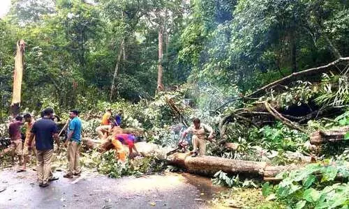 കനത്ത മഴ; പ്രളയ ഭീതി