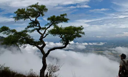 നെല്ലിയാമ്പതിയിലേക്ക് വിനോദയാത്ര നിരോധിച്ചു