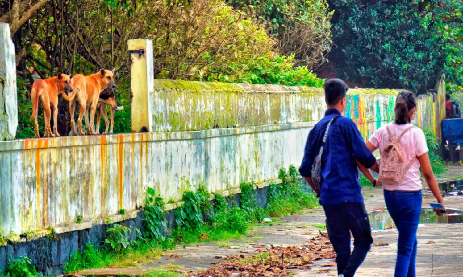 രണ്ട് പാർക്കുകൾ കൂടി നഗരസഭ തിരിച്ചെടുക്കും