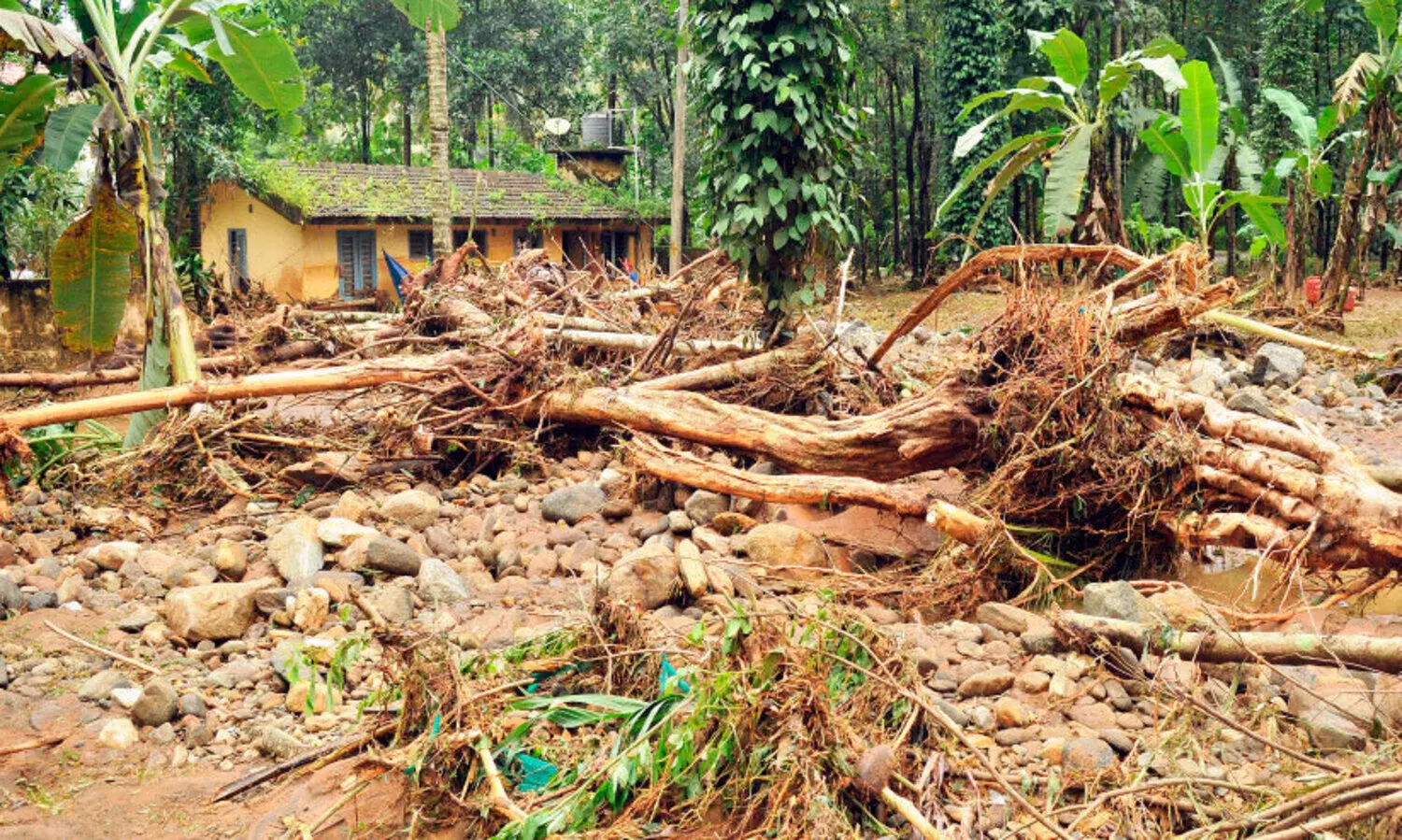 മഴക്കെടുതി; കുടുംബങ്ങളെ സുരക്ഷിതസ്ഥലത്തേക്ക് മാറ്റും