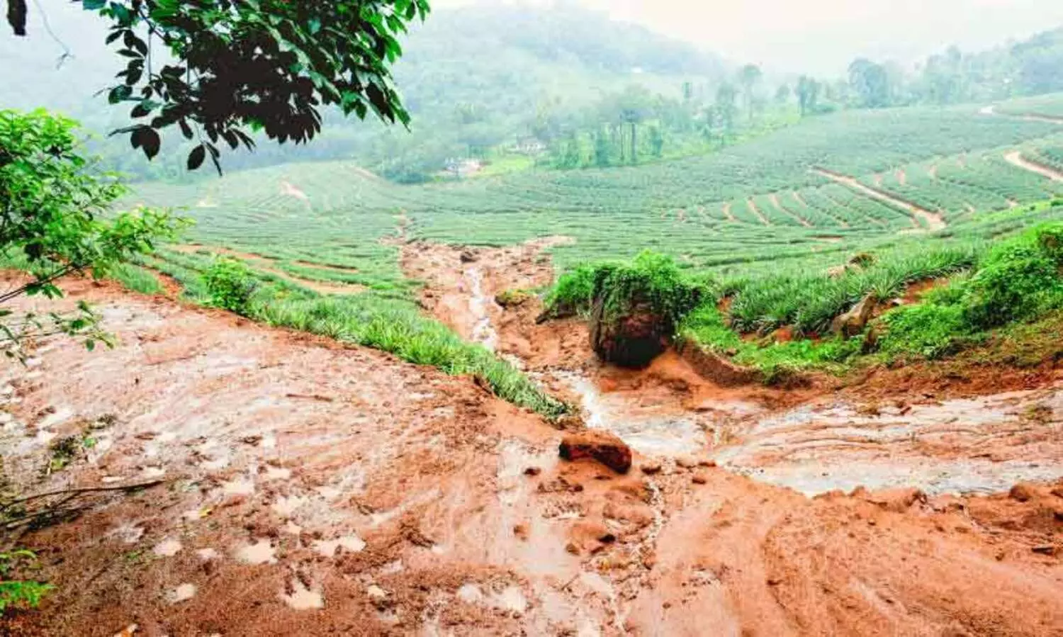 മഴയിൽ വിറച്ച് മലയോരം