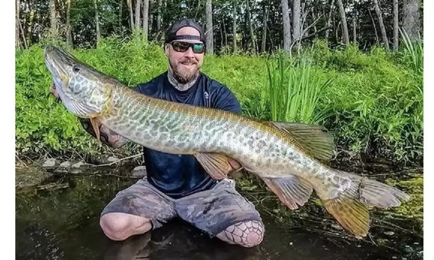US Fisherman Catches Monster Tiger Muskie Fish, Internet Is Stunned