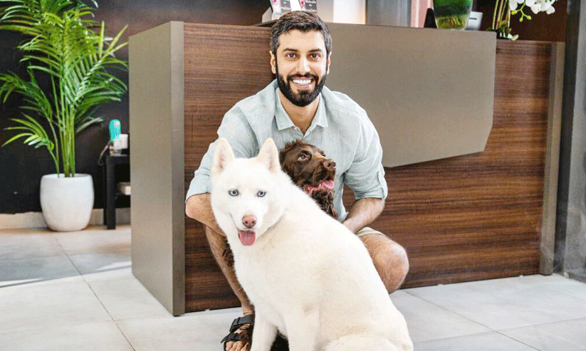 Gymnasium for dogs Gymnasium for dogs