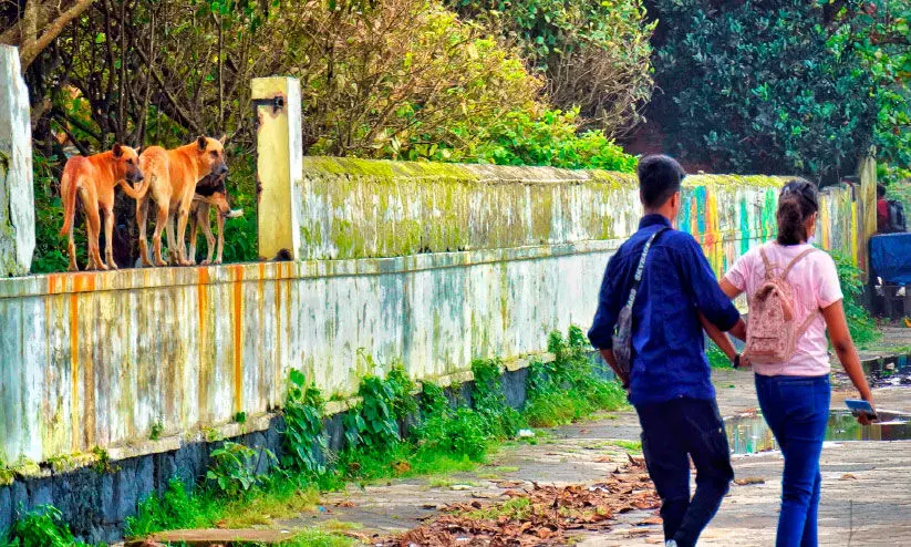 രണ്ട് പാർക്കുകൾ കൂടി നഗരസഭ തിരിച്ചെടുക്കും