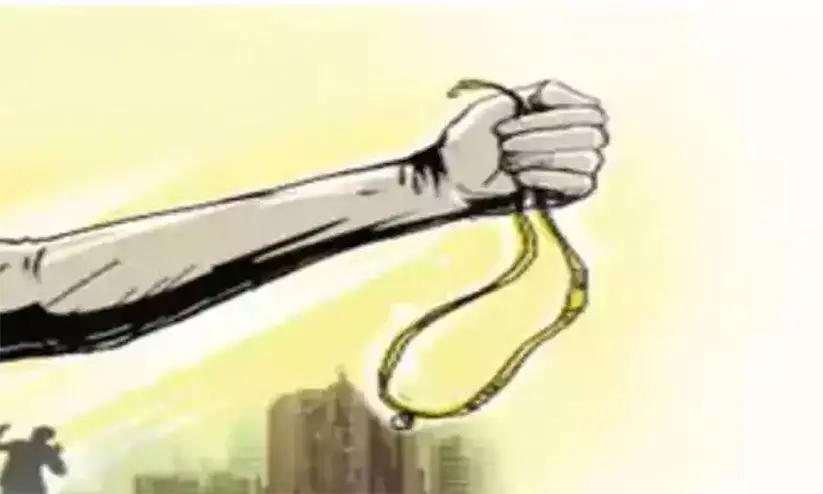 കാറിൽ വന്ന സംഘം വീട്ടമ്മയുടെ മാല കവർന്നു