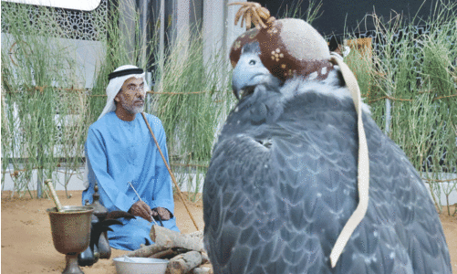 Exhibition Photography