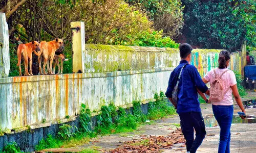 രണ്ട് പാർക്കുകൾ കൂടി നഗരസഭ തിരിച്ചെടുക്കും