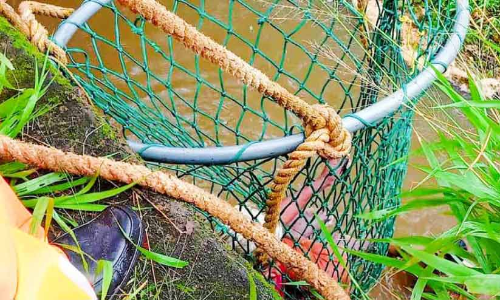 തോട്ടിൽ കുളിക്കാനിറങ്ങവെ ഒഴുക്കിൽപെട്ട വയോധികയെ രക്ഷപ്പെടുത്തി