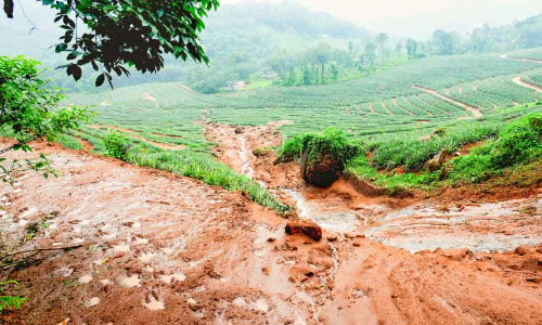 മഴയിൽ വിറച്ച് മലയോരം