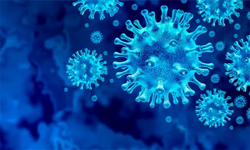 കോവിഡ് സർട്ടിഫിക്കറ്റ്: വീഴ്ച ആവർത്തിക്കരുതെന്ന് മനുഷ്യാവകാശ കമീഷൻ