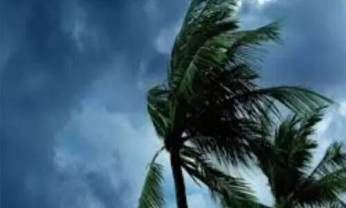 പ്രകൃതിക്ഷോഭ പ്രതിരോധം: പുനലൂർ താലൂക്കിൽ മുന്നൊരുക്കം