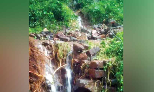 അർധരാത്രി മലവെള്ളപ്പാച്ചിൽ; പരിയാപുരത്ത് ലക്ഷങ്ങളുടെ നാശനഷ്ടം