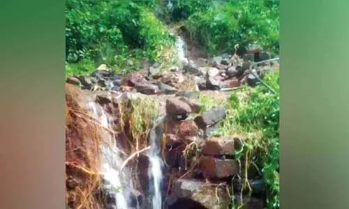 അർധരാത്രി മലവെള്ളപ്പാച്ചിൽ; പരിയാപുരത്ത് ലക്ഷങ്ങളുടെ നാശനഷ്ടം