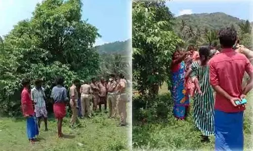 അട്ടപ്പാടി ഭൂമി കൈയേറ്റം : സ്ഥലപരിശോധന നടത്തിയിട്ടില്ല- പാടവയൽ വില്ലേജ് ഓഫിസർ