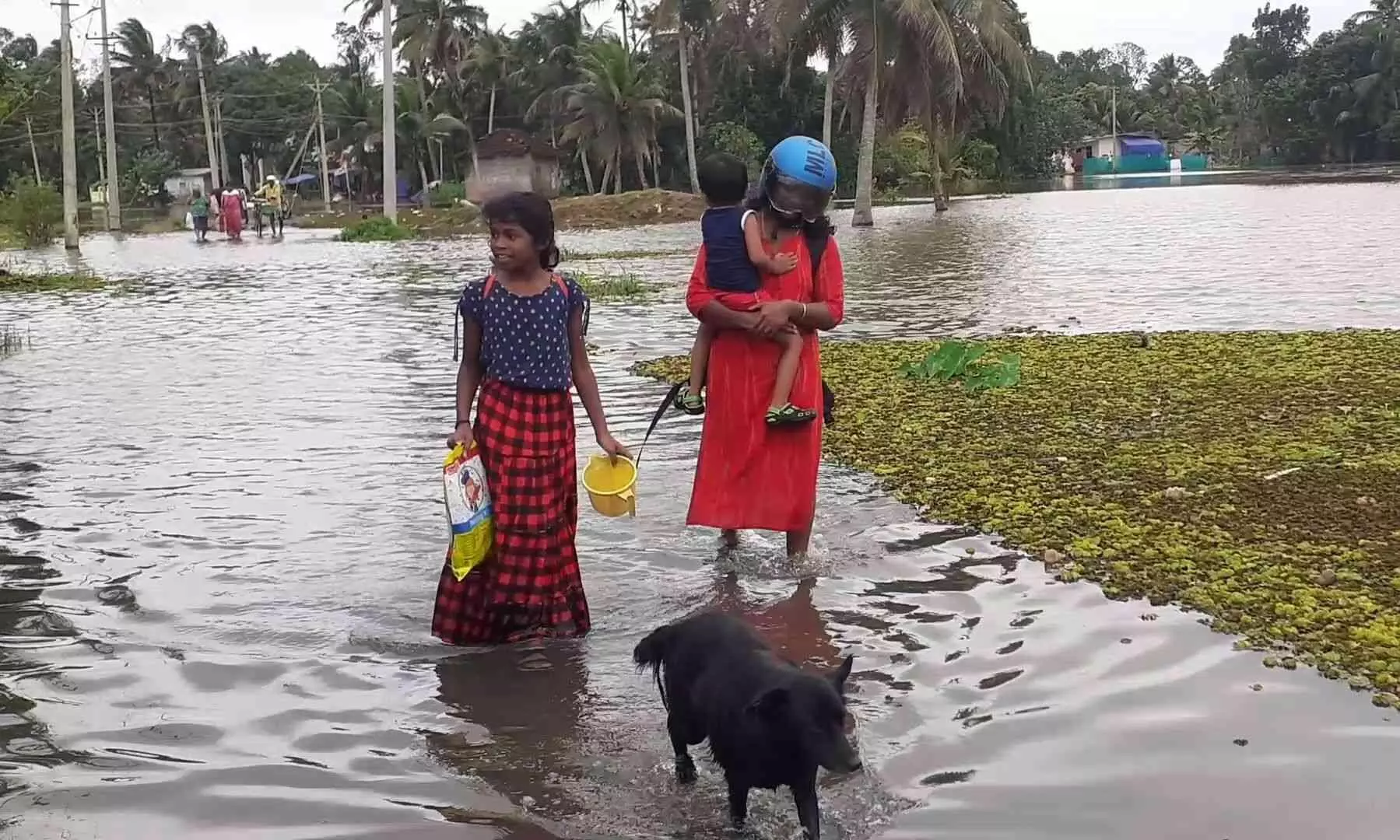 വെളളപ്പൊക്കം; മുങ്ങിത്താണ് അപ്പർകുട്ടനാട്