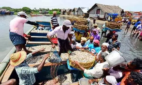 മത്സ്യത്തൊഴിലാളികളെ കടലിൽനിന്ന് ആട്ടിപ്പായിക്കുമ്പോൾ മത്സ്യത്തൊഴിലാളികളെ കടലിൽനിന്ന് ആട്ടിപ്പായിക്കുമ്പോൾ