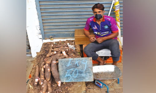 കപ്പ കിട്ടാക്കനി!; വില 50 രൂപക്ക് മുകളിൽ