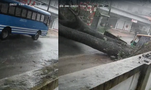 രണ്ടേ രണ്ട് സെക്കൻഡ്! നിറയെ യാത്രക്കാരുമായി ബസ് പോയി, പിന്നാലെ വൻ മരം കടപുഴകി; തലനാരിഴക്ക് ഒഴിവായത് വൻ ദുരന്തം!