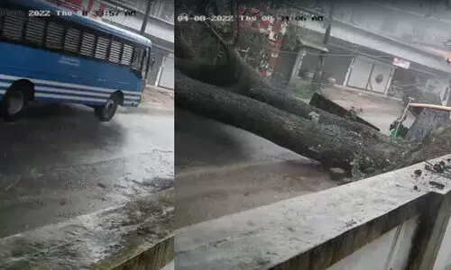 രണ്ടേ രണ്ട് സെക്കൻഡ്! നിറയെ യാത്രക്കാരുമായി ബസ് പോയി, പിന്നാലെ വൻ മരം കടപുഴകി; തലനാരിഴക്ക് ഒഴിവായത് വൻ ദുരന്തം!