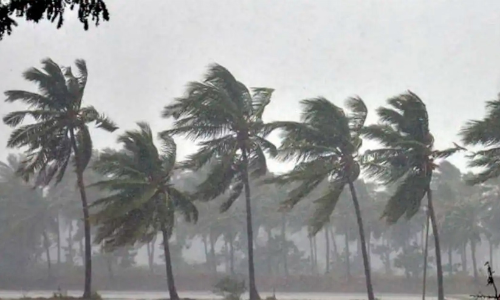 മ​ഴ​ക്ക്​ ശ​മ​ന​മി​ല്ല; അ​റു​തി​യി​ല്ലാ​ ദു​രി​തം..