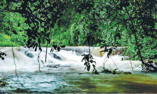 സഞ്ചാരികളുടെ മനം കവർന്ന് കല്യാണ ഒറു സഞ്ചാരികളുടെ മനം കവർന്ന് കല്യാണ ഒറു