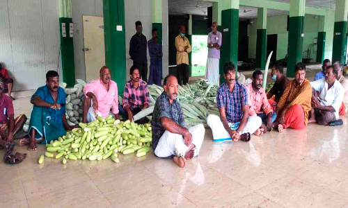 ഹോർട്ടികോർപ്പിന്‍റെ അനാസ്ഥ; വിപണിയിൽ എത്തിച്ച ആയിരം കിലോ പച്ചക്കറി നശിച്ചു