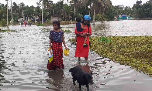 വെളളപ്പൊക്കം; മുങ്ങിത്താണ് അപ്പർകുട്ടനാട്