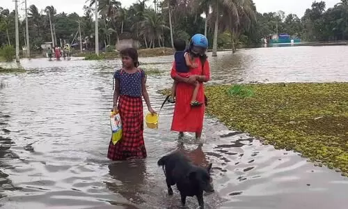 വെളളപ്പൊക്കം; മുങ്ങിത്താണ് അപ്പർകുട്ടനാട്