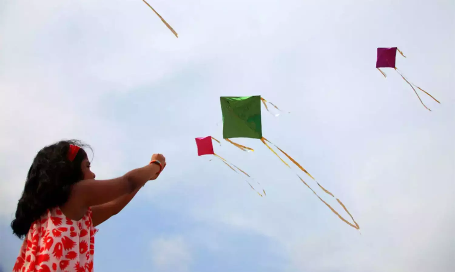 പട്ടം പറത്തുന്നത് നിരോധിക്കാനാവില്ല; കാരണം വ്യക്തമാക്കി ഡൽഹി ഹൈകോടതി