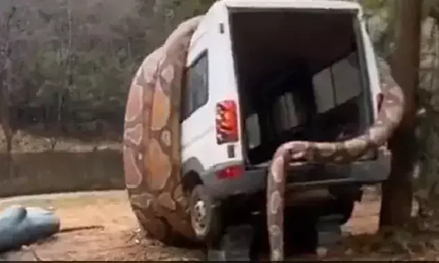 കാർ വരിഞ്ഞുമുറുക്കി വിഴുങ്ങാനൊരുങ്ങി ഭീമൻ പാമ്പ്; യാത്രക്കാർക്ക് എന്തു സംഭവിച്ചു!