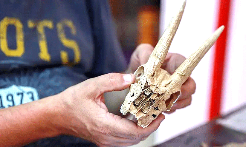 Farasan Island Farasan Island