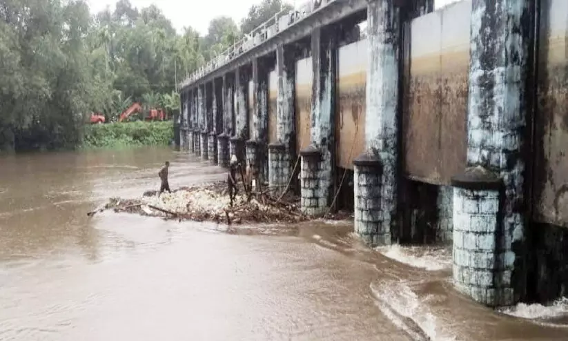 ഇ​ല്ലി​ക്ക​ൽ ഡാ​മി​ന്റെ ഷ​ട്ട​റു​ക​ളി​ൽ ത​ട​ഞ്ഞു​നി​ന്ന വ​ന്മര​ങ്ങ​ൾ നീ​ക്കി