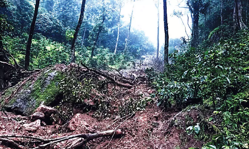 നെ​ല്ലി​യാ​മ്പ​തി​യി​ൽ ഉ​രു​ൾ​പൊ​ട്ട​ൽ, വ്യാ​പ​ക കൃ​ഷി​നാ​ശം