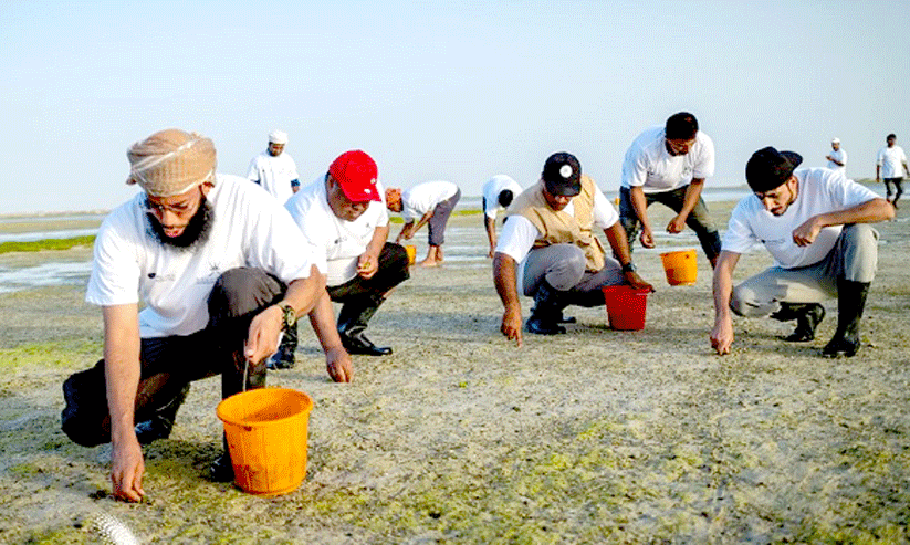 10 lakh saplings were planted 10 lakh saplings were planted
